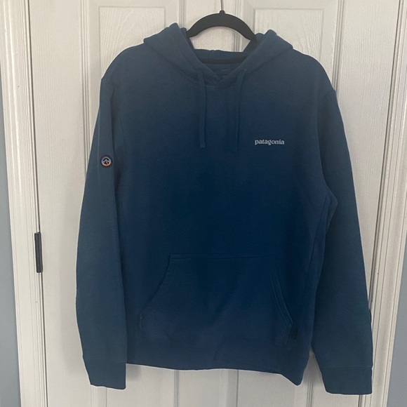 Patagonia Heavyweight Blue Men's Hoodie - Picture 1 of 5